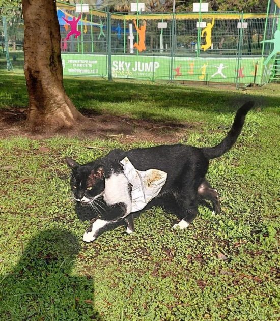 Read more about the article ​סיפור של אכפתיות יוצאת דופן וחילוץ אמיץ שהתרחש בפארק העירוני בכפר סבא