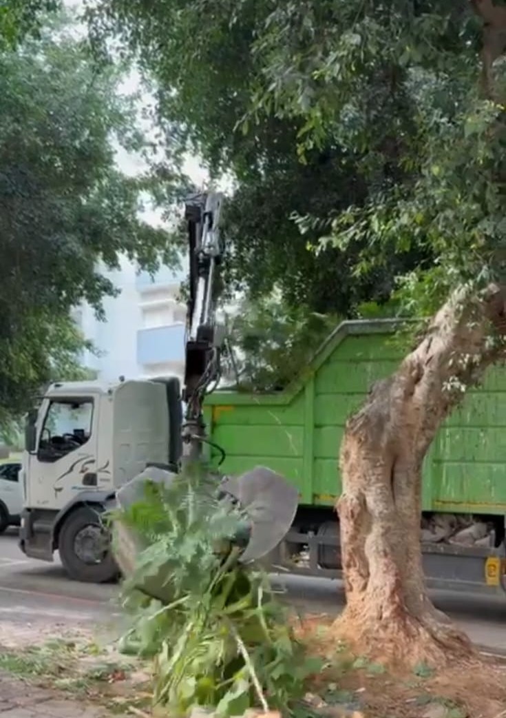 Read more about the article כפר סבא משדרגת את מערך ניקיון העיר: פינוי גזם ופסולת מוצקה במועדים חדשים החל מינואר